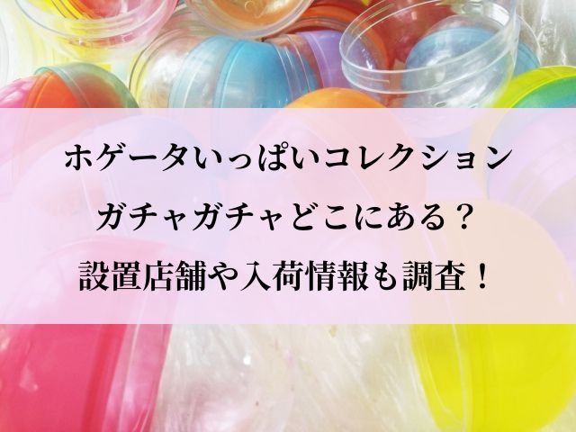 ホゲータ_ガチャガチャ_設置場所