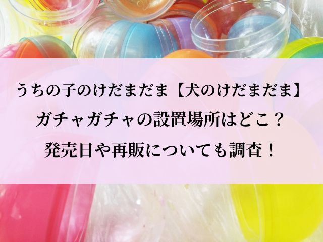 うちの子のけだまだま_ガチャ_犬_設置場所
